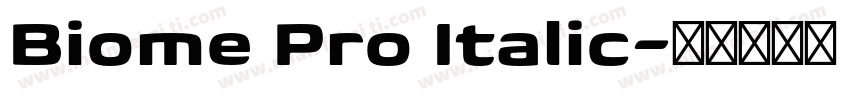 Biome Pro Italic字体转换
